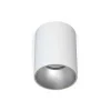 Lampa Sufitowa EYE TONE Biały Szary 1xGU10 IP20