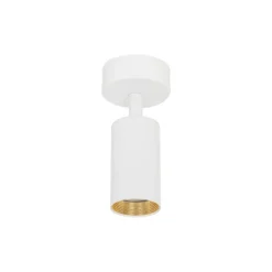 Lampa sufitowa Spot AMIS biała 1xGU10 regulowana
