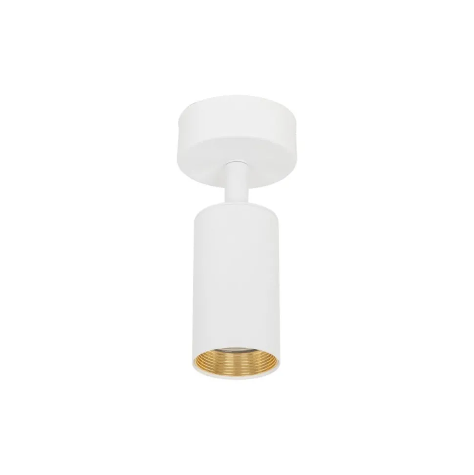 Lampa sufitowa Spot AMIS biała 1xGU10 regulowana