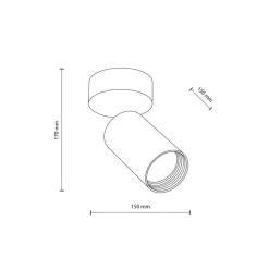 Lampa sufitowa Spot AMIS biała 1xGU10 regulowana