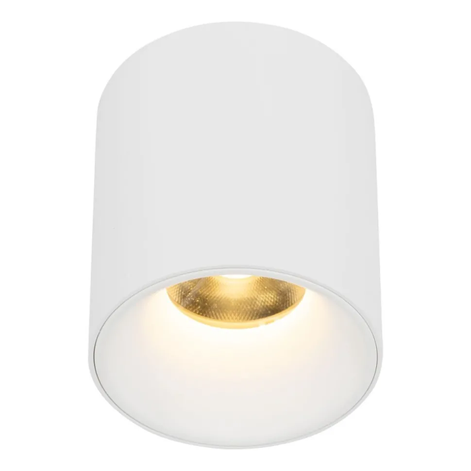 Lampa sufitowa Spot BLAZE biała CCT 1xLED 12W