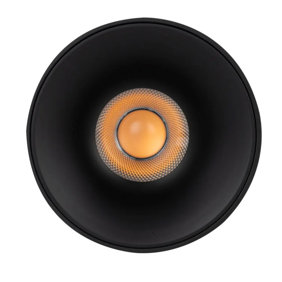 Lampa sufitowa Spot BLAZE czarna 1xLED 30W