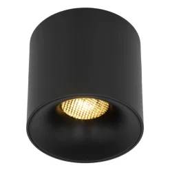 Lampa sufitowa Spot BLAZE czarna CCT 1xLED 30W