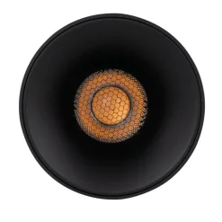 Lampa sufitowa Spot BLAZE czarna CCT 1xLED 30W