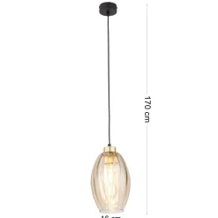Lampa Wisząca SEBO Czarny Złoty Szklany Klosz 1xE27