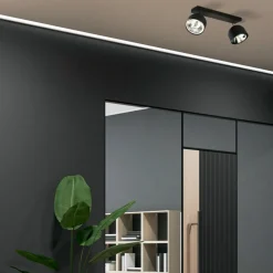 Lampa Sufitowa Spot ALTEA Czarny 2xGU10 AR111 * TK Lighting