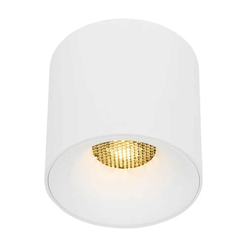 Lampa sufitowa Spot BLAZE biała 1xLED 30W * TK Lighting