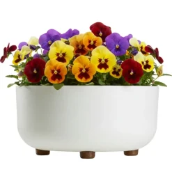 Misa TERRA na nóżkach recykling biała h14,4x29,7 cm * HowHomely Clearance