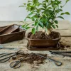 Nożyce do przycinania drzewek Bonsai * Esschert Design New