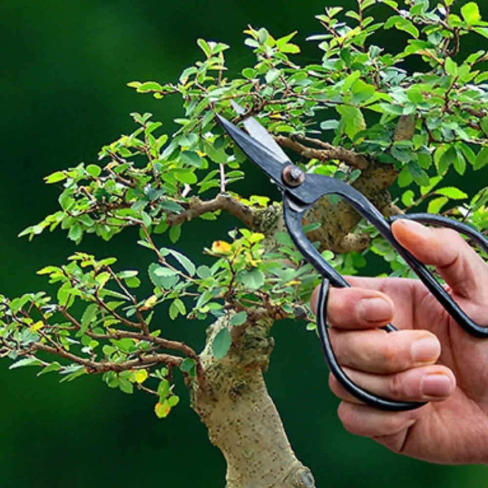 Nożyce do przycinania drzewek Bonsai * Esschert Design New