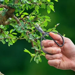 Nożyce ogrodnicze do bonsai * Esschert Design Best