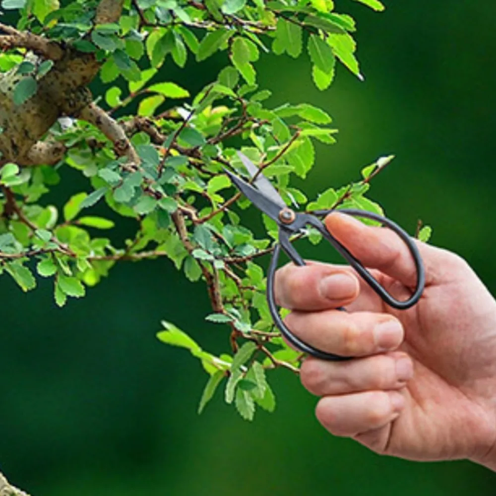 Nożyce ogrodnicze do bonsai * Esschert Design Best