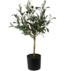 Oliwne drzewko w donicy 66 cm * Progarden Online