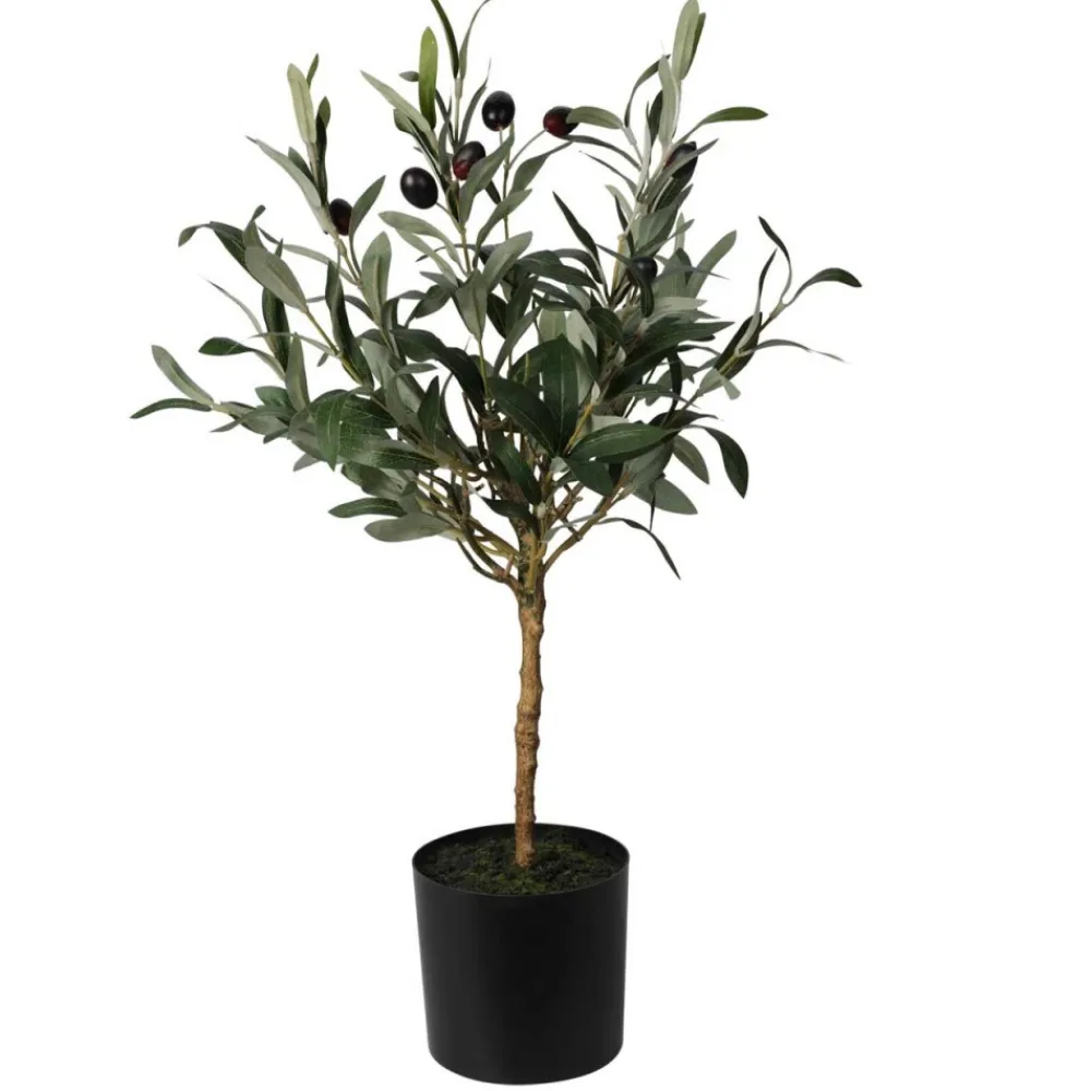 Oliwne drzewko w donicy 66 cm * Progarden Online