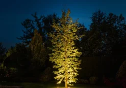 Oprawa ogrodowa PICCO Czarny 3W LED 3000K IP67