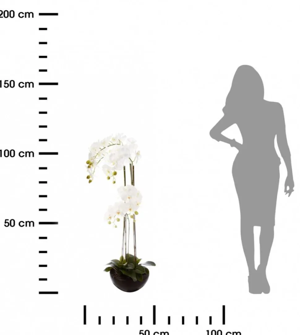 Orchidea w czarnej doniczce 115 cm