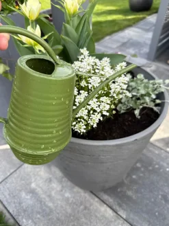 Ozdobna konewka ciemno zielona 1L * Esschert Design Clearance
