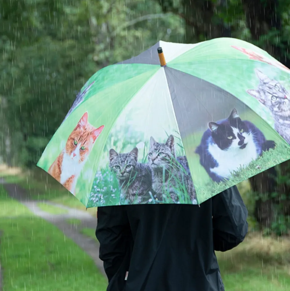 Parasol z motywem kotów