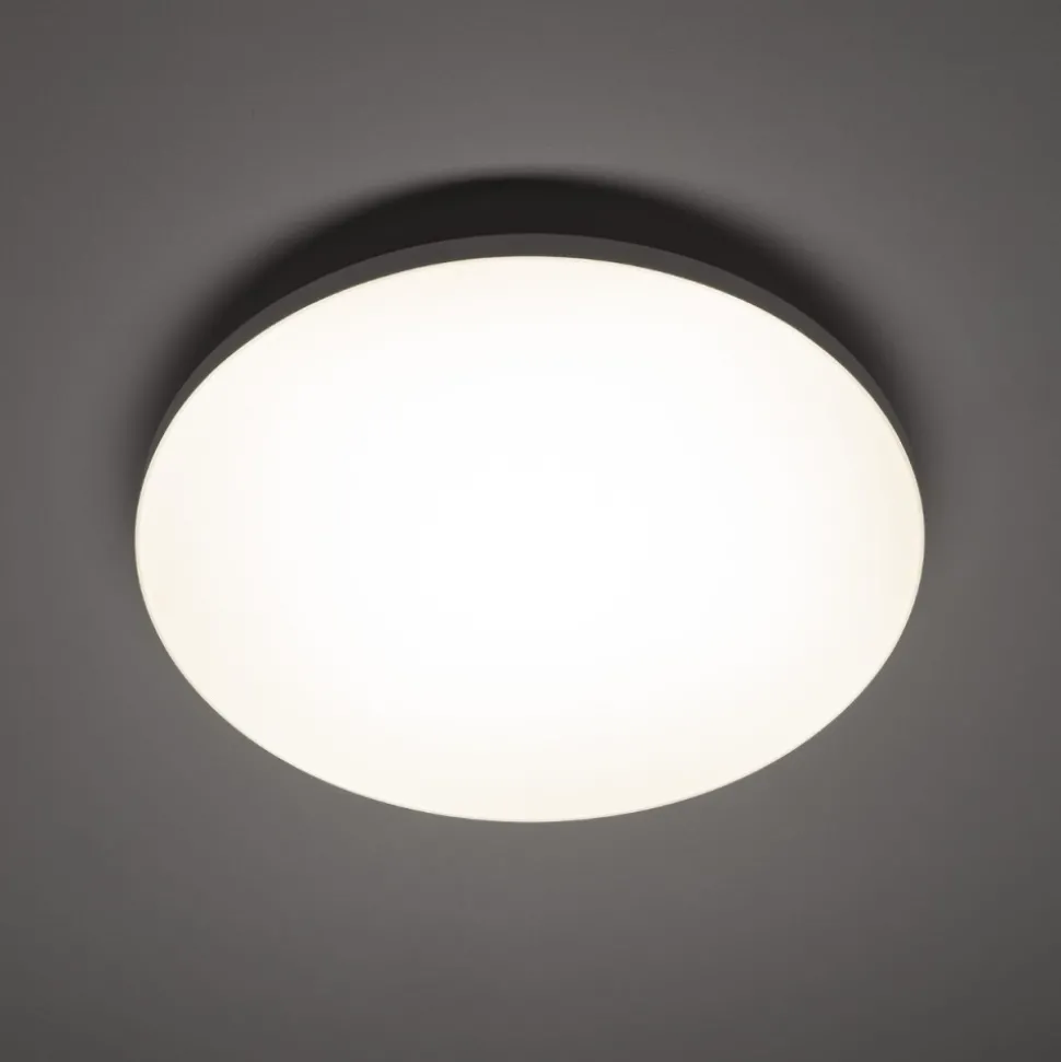 Plafon DENIA LED M biały 24W 4000K