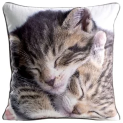 Poszewka ANIMAL/82 45x45 cm koty
