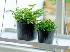 Prostokątna wisząca półka na kwiaty biała * Esschert Design Outlet