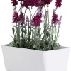 Skrzynka na kwiaty Salvia biała 28,5x17 cm * HowHomely Hot