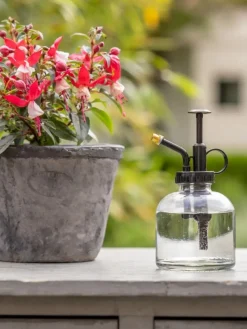 Spryskiwacz do roślin transparentny szklany z 0,2L * Esschert Design Discount