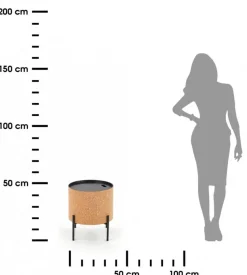Stolik kawowy Sasha Cork