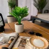 Sztuczna palma w doniczce 29 cm * Atmosphera Discount