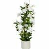 Sztuczne drzewko clematis biały 98 cm w doniczce