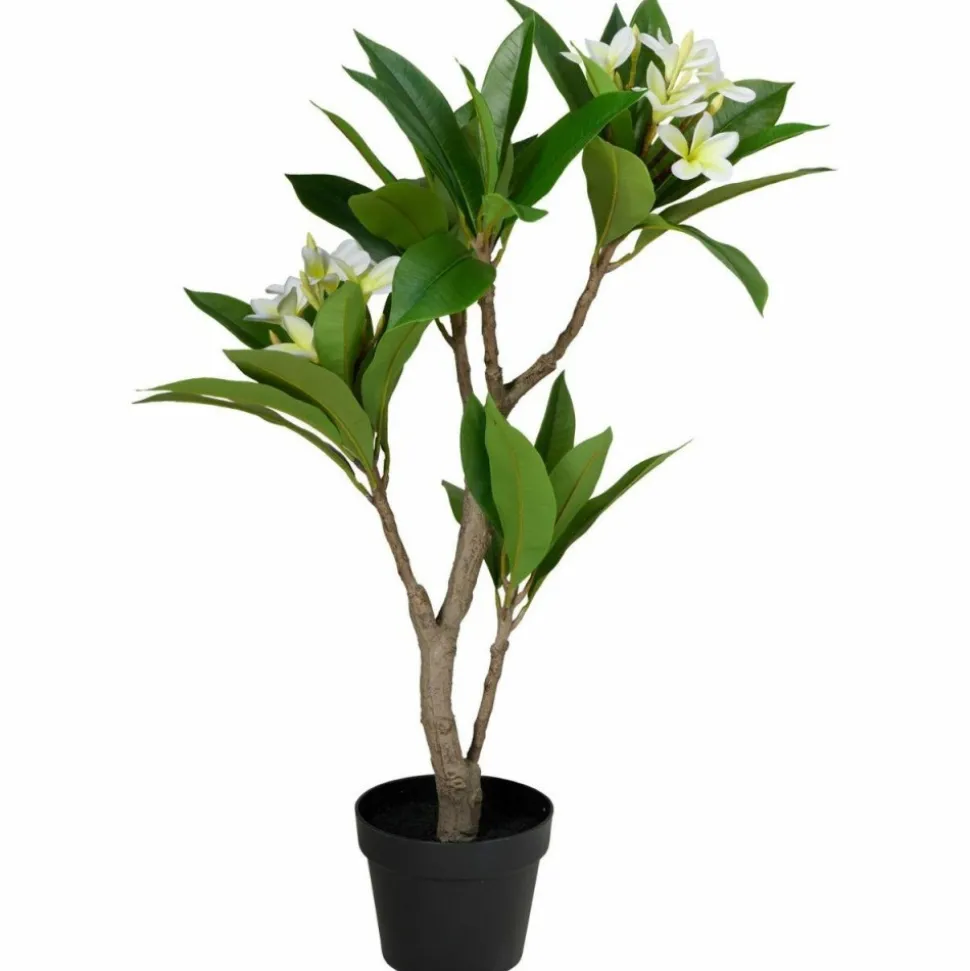 Sztuczne drzewko frangipani biała 90 cm w doniczce