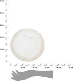 Talerz obiadowy biały z brązową krawędzią 27,8 cm