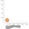 Wieszak ścienny bambusowy D8 FLOWER ochre * TENDANCE Sale