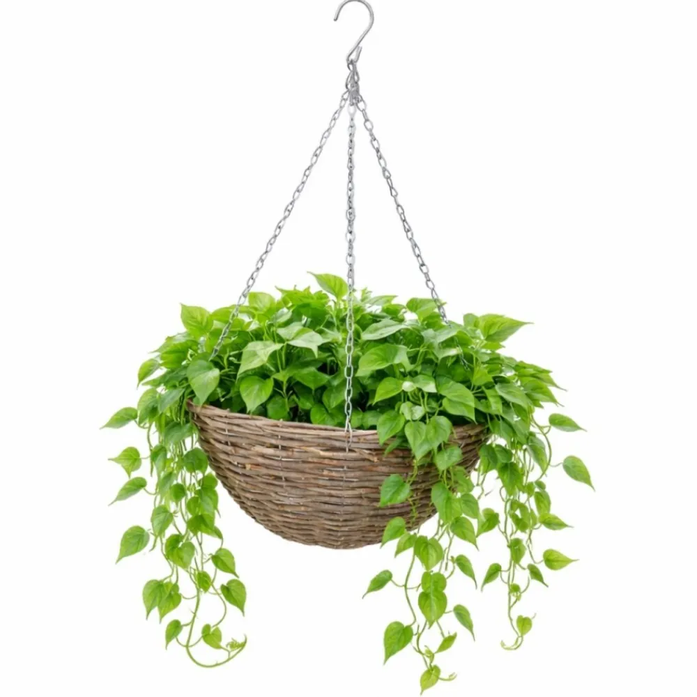Wiszący kosz na kwiaty z wikliny 30 cm * Esschert Design Hot