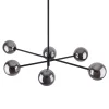 Żyrandol SARIUS Czarny Szklane Klosze 6xG9 * TK Lighting Online