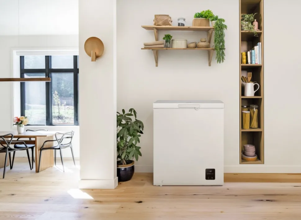 Zamrażarka skrzyniowa GORENJE FH10EAW