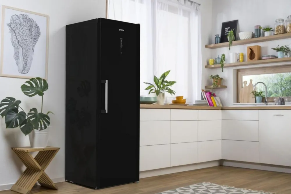 Zamrażarka szufladowa FN619EABK6 No Frost * Gorenje