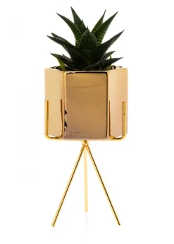 Zestaw 3 doniczek Sashi Gold