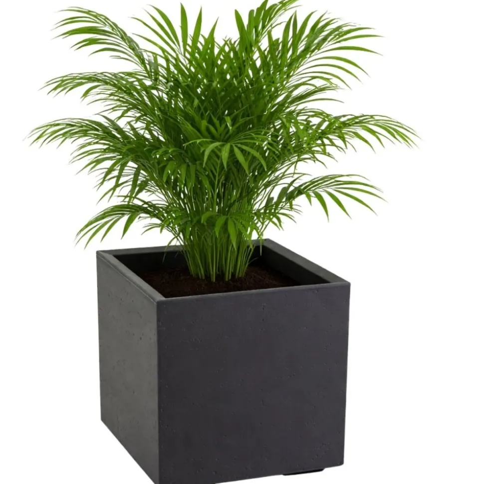 Zestaw donic na kółkach Betonique 40 cm recykling czarny 2 szt