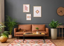 Zestaw donic Stripped Eco Wood zielone
