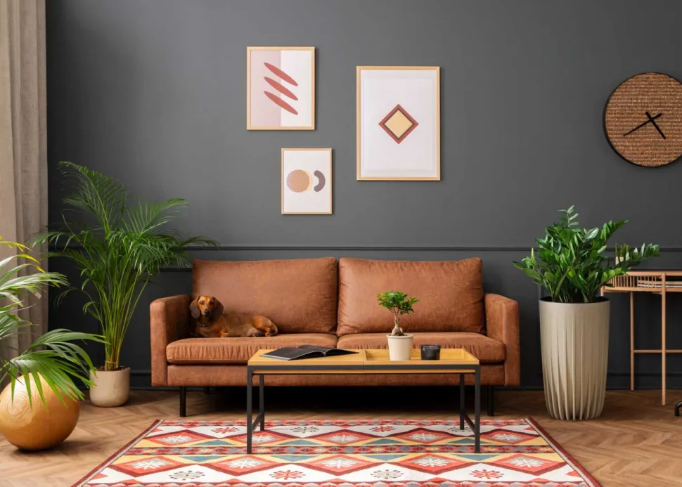 Zestaw donic Stripped Eco Wood zielone