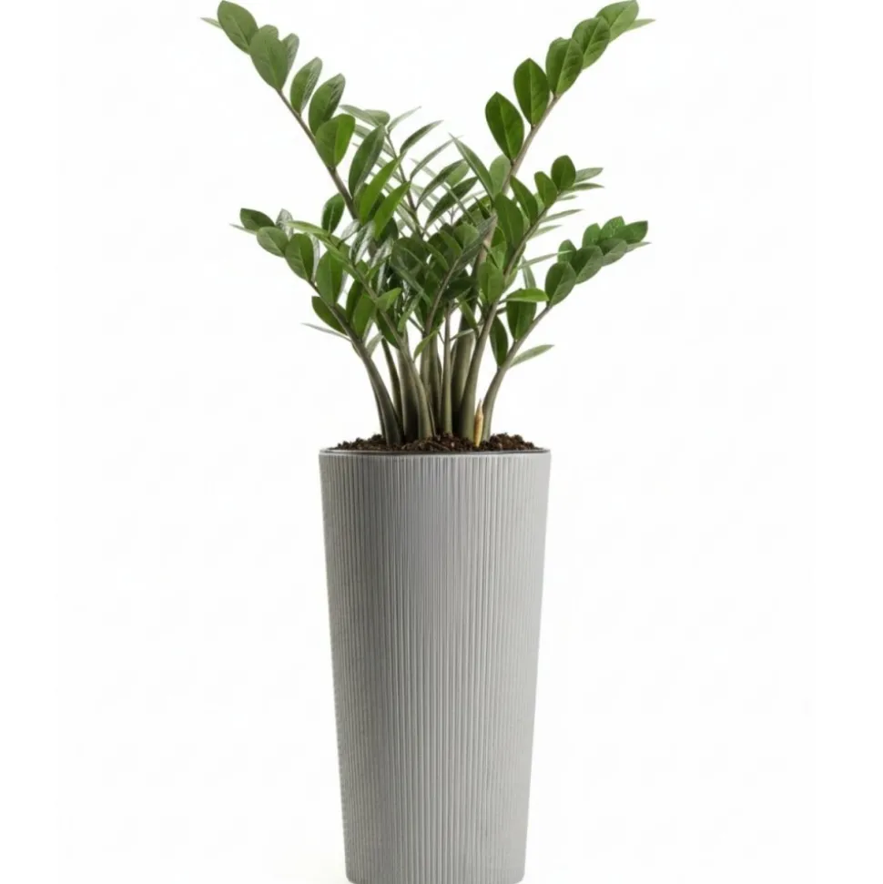 Zestaw donic URBANIKA ECO wood szary 3 szt