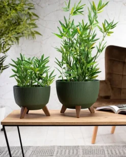 Zestaw doniczek Rosa linea Eco wood zielone