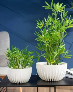 Zestaw doniczek Stripped Eco recykling białe