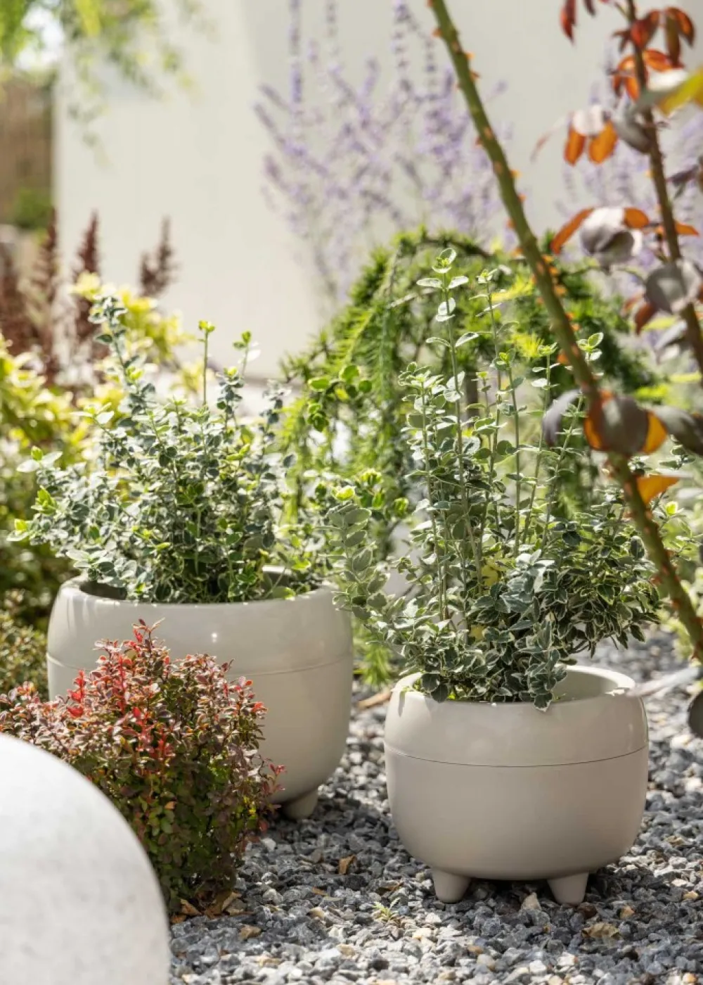 Zestaw donic na nóżkach botanica beżowe * HowHomely Clearance