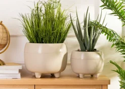 Zestaw donic na nóżkach botanica beżowe * HowHomely Clearance