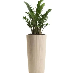 Zestaw donic URBANIKA coffee latte 3 szt * HowHomely Sale