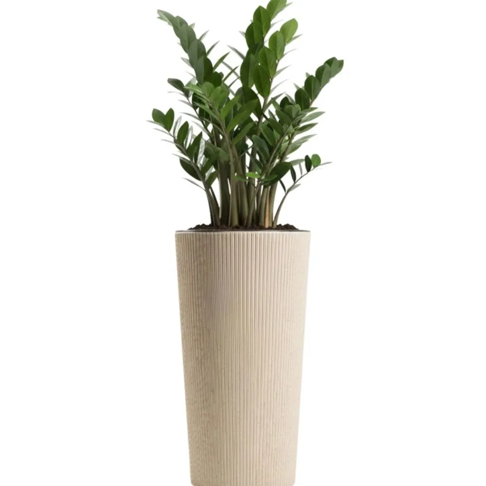 Zestaw donic URBANIKA coffee latte 3 szt * HowHomely Sale