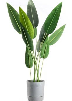 Zestaw donic z podstawką Azalea recykling szary beton * HowHomely Sale