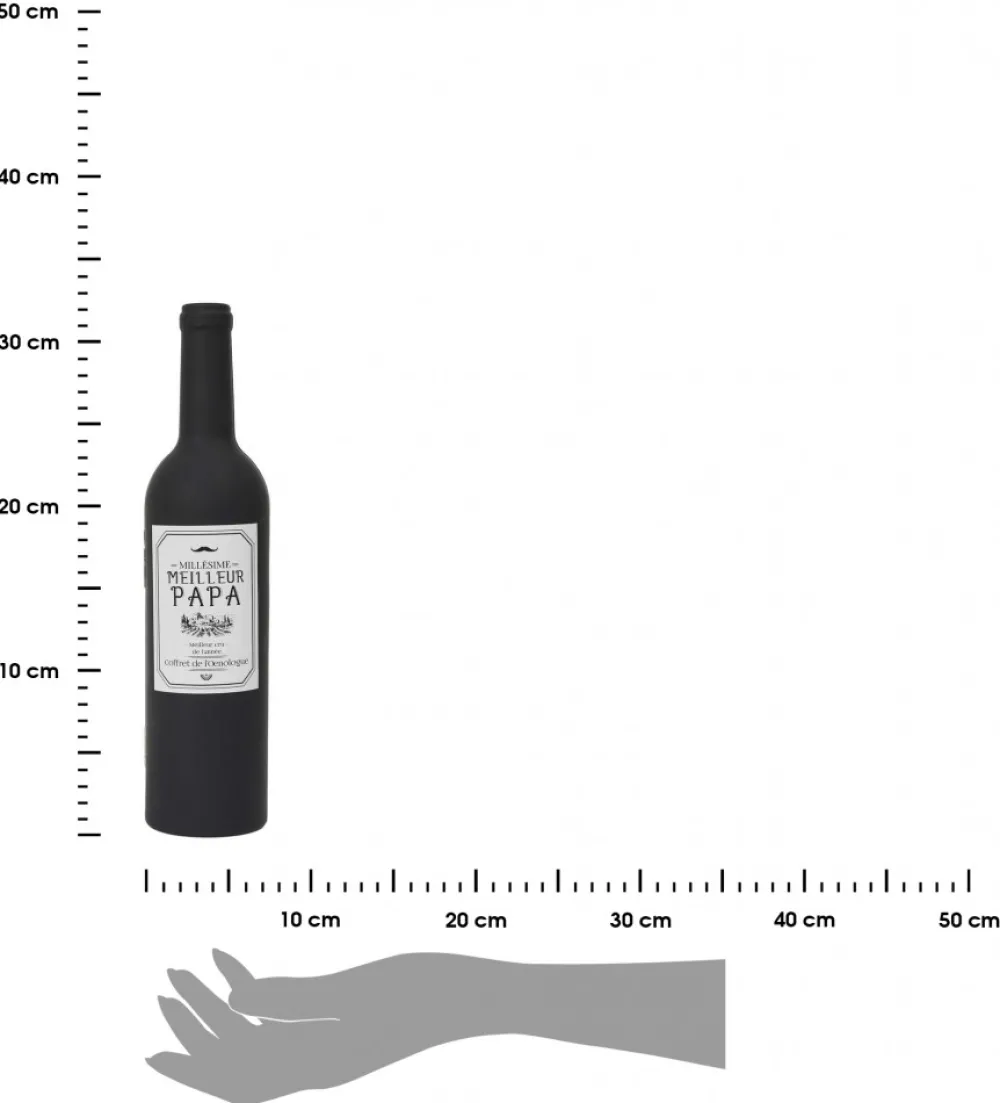 Zestaw do wina BOTTLE BOX 5-częściowy * HowHomely Clearance
